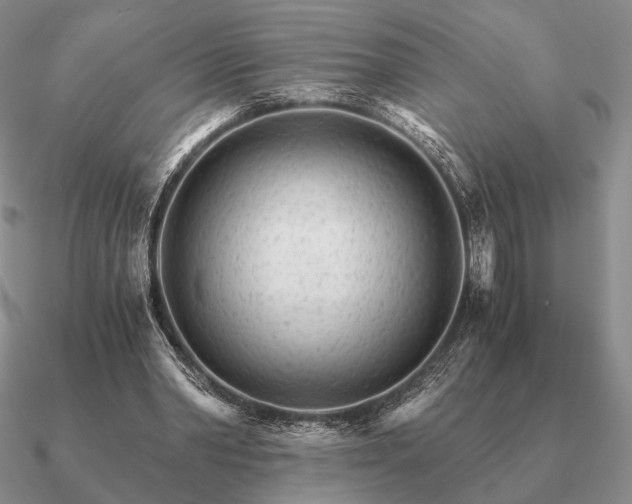 X0000090920390200708061547