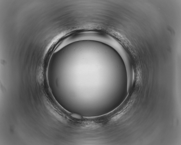 X0000090920392200708061547