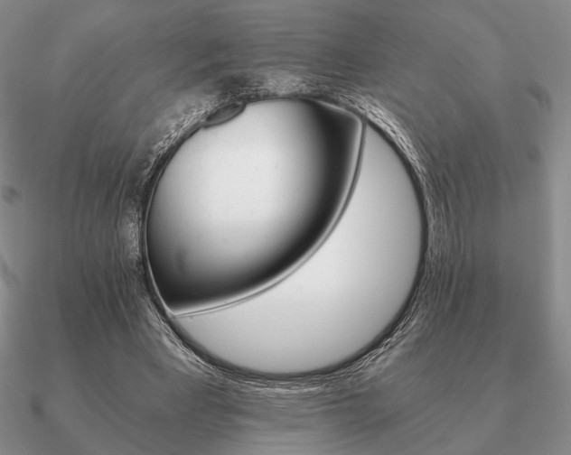 X0000090920393200708061547