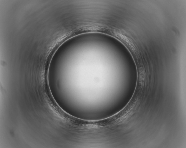 X0000090920394200708061547