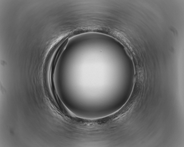 X0000090920395200708061547