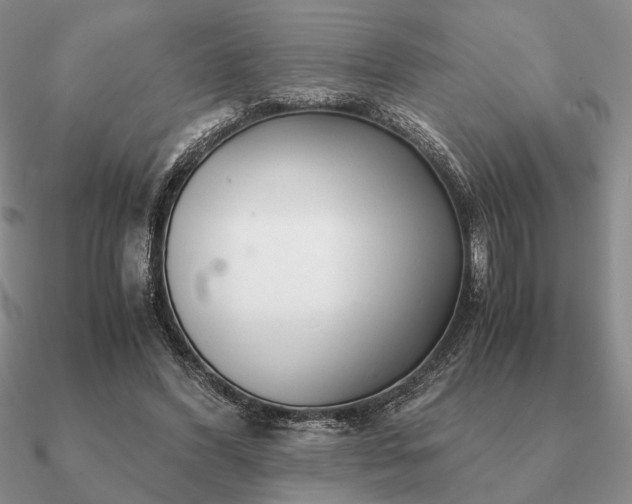 X0000090920396200708061547