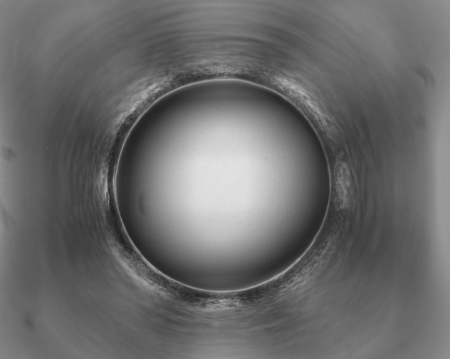 X0000090920398200708061547