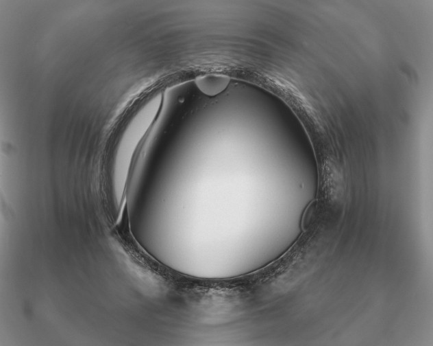 X0000090920400200708061547