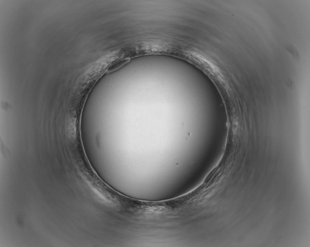 X0000090920401200708061547