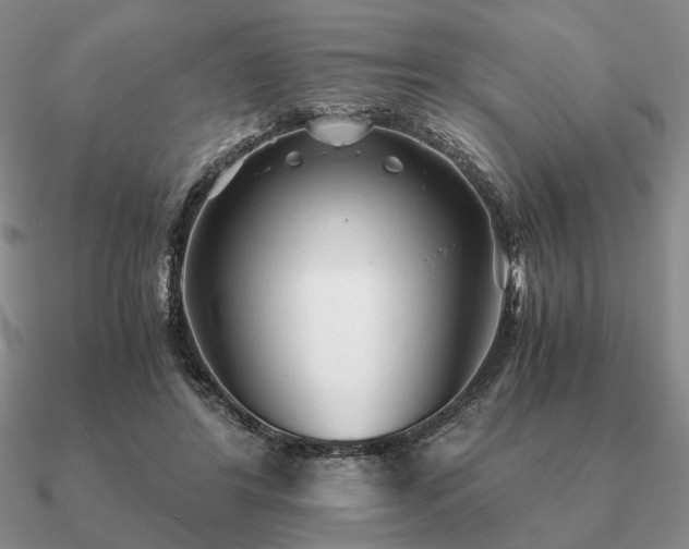 X0000090920404200708061547