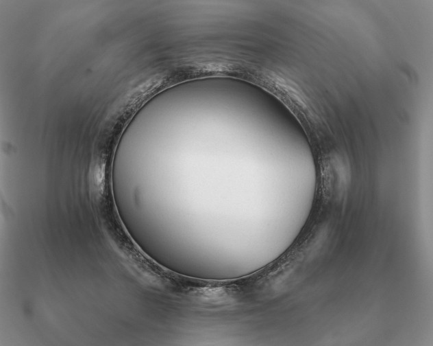 X0000090920406200708061547