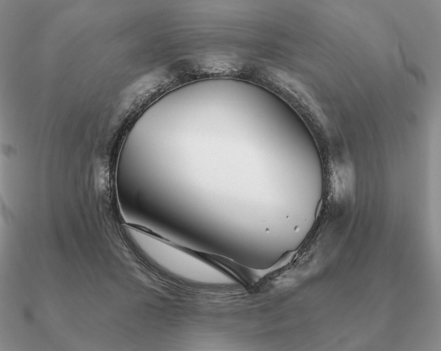 X0000090920407200708061547