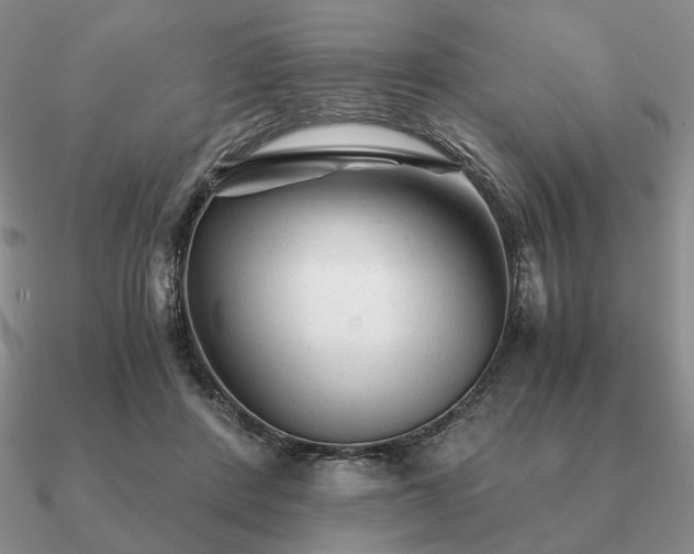 X0000090920408200708061547