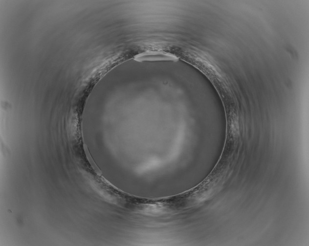 X0000090920411200708061547