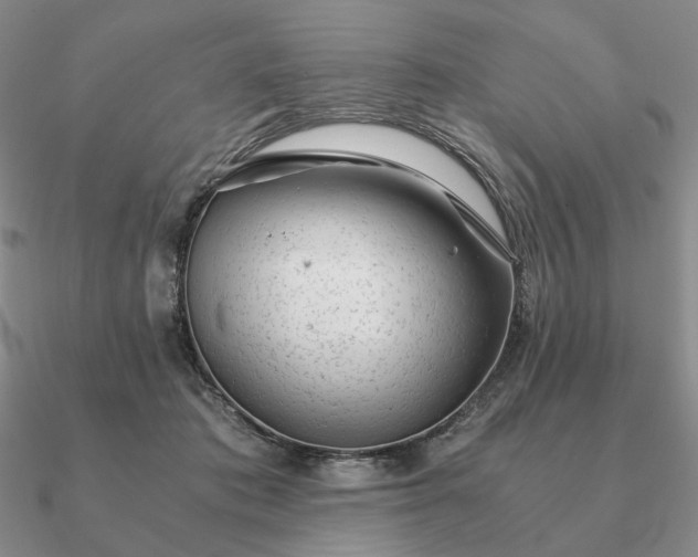 X0000090920413200708061547