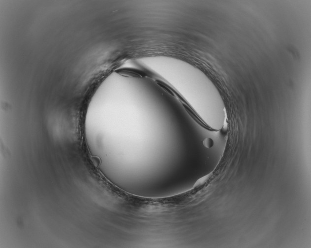 X0000090920416200708061547