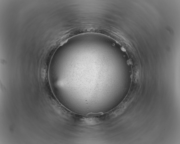 X0000090920417200708061547