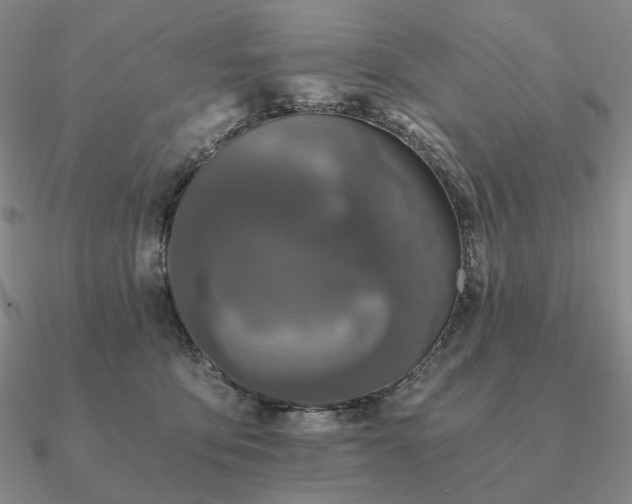 X0000090920419200708061547