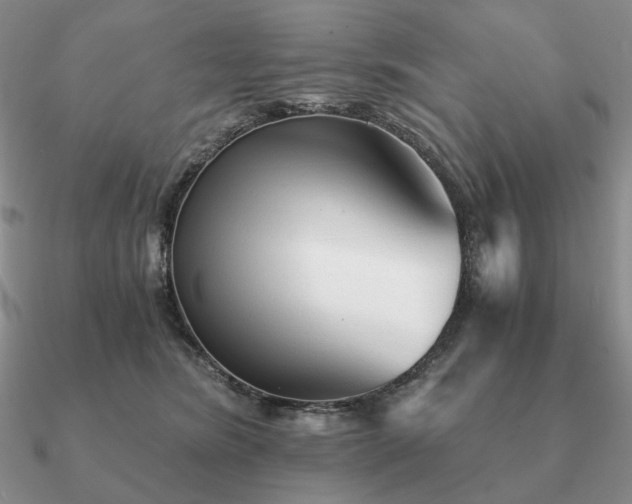 X0000090920420200708061547