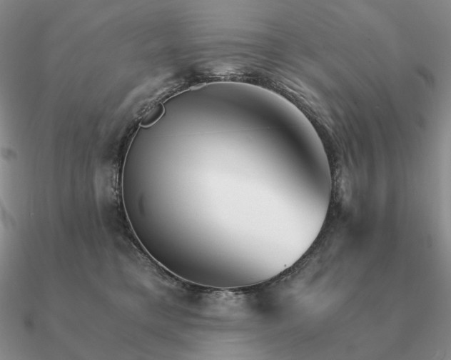 X0000090920421200708061547