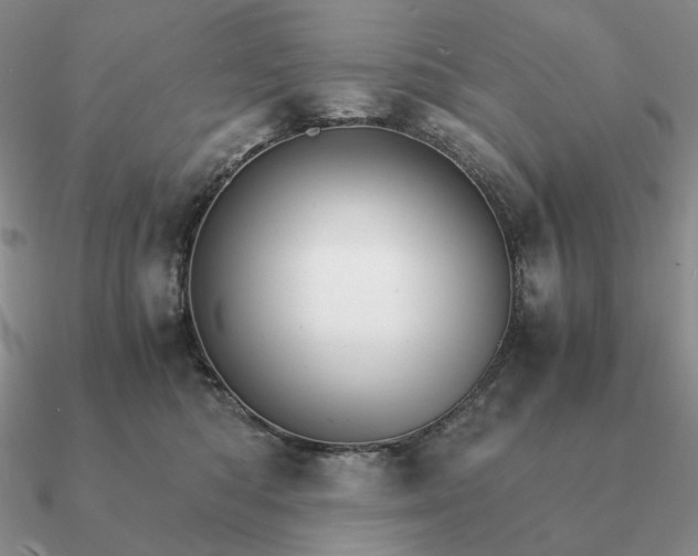 X0000090920422200708061547