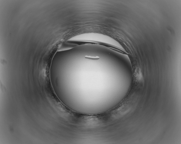 X0000090920424200708061547