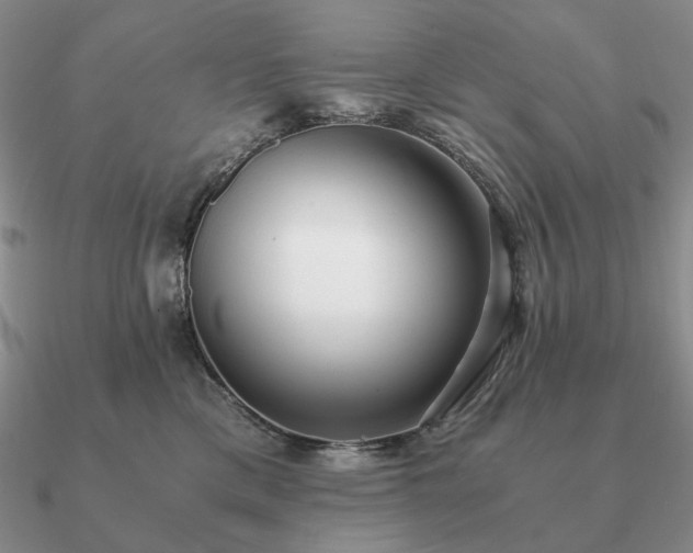 X0000090920425200708061547