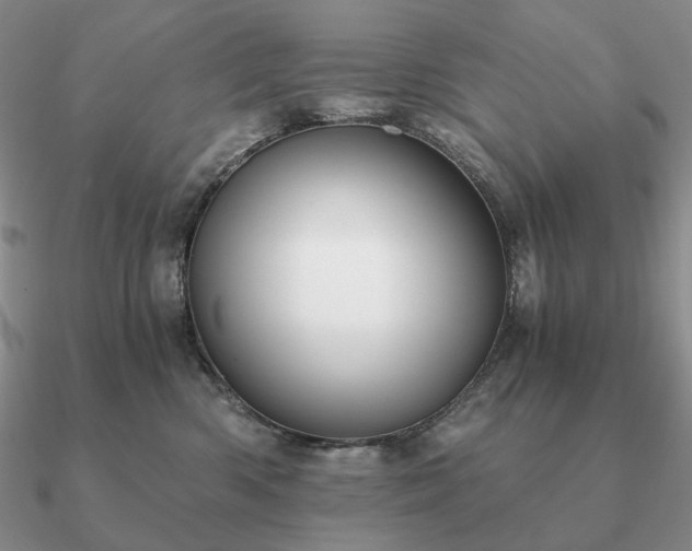 X0000090920426200708061547