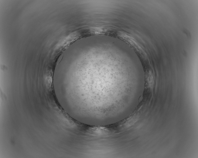 X0000090920427200708061547