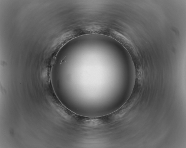 X0000090920428200708061547