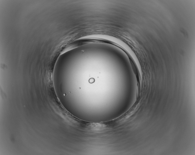 X0000090920429200708061547