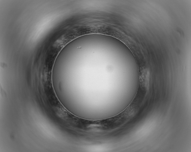 X0000090920430200708061547