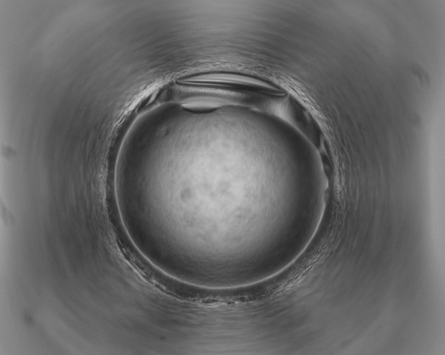 X0000090920434200708061546