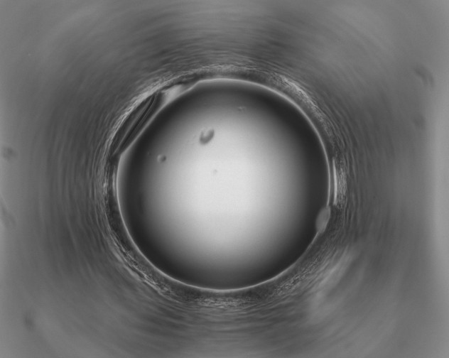 X0000090920435200708061546