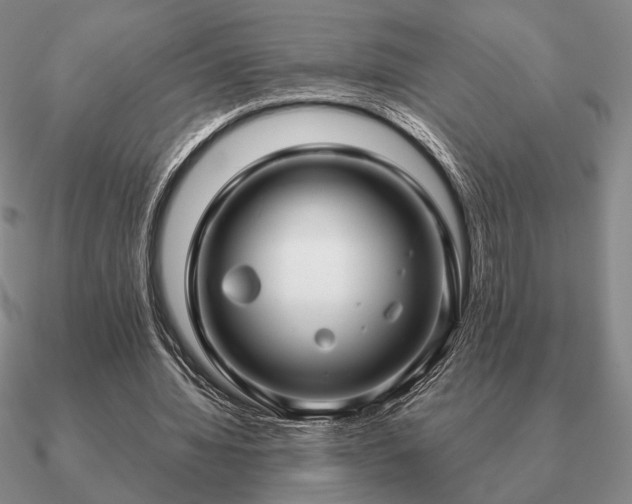 X0000090920436200708061546