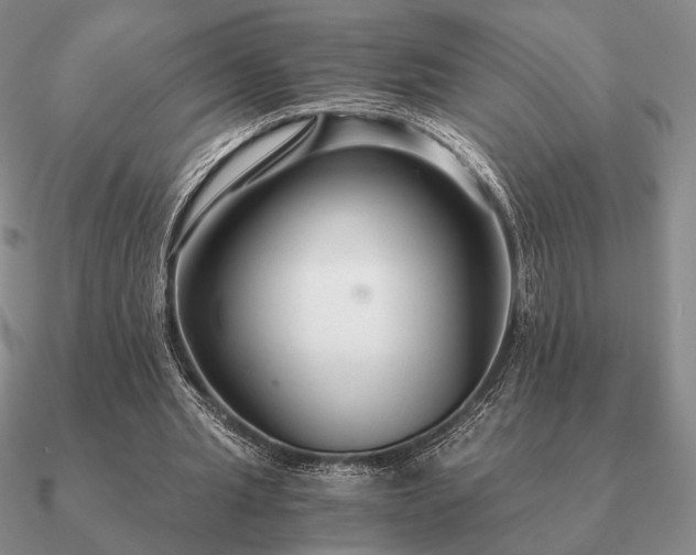 X0000090920437200708061546