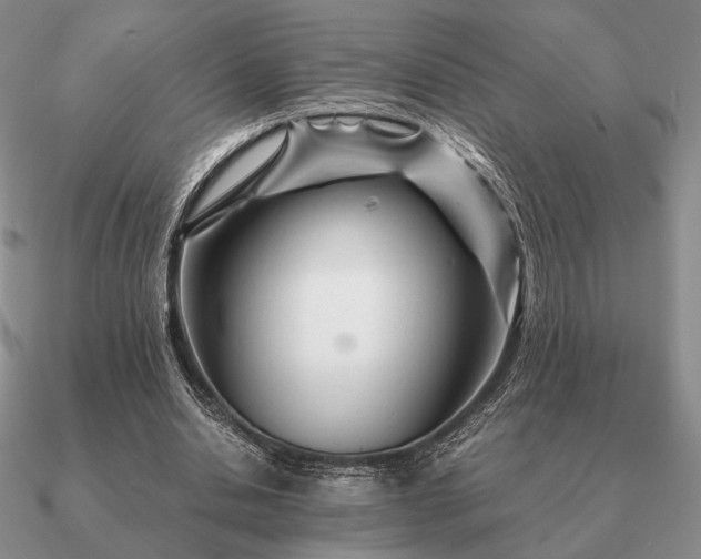 X0000090920438200708061546