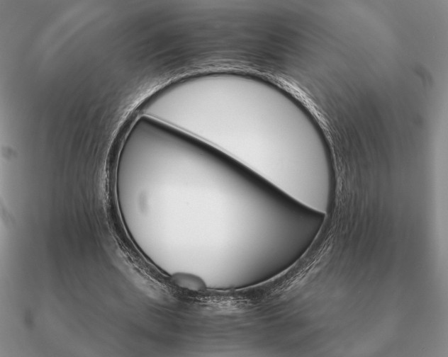 X0000090920439200708061546