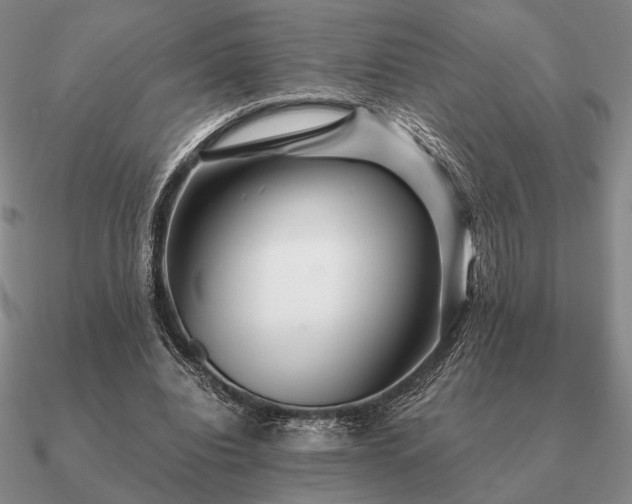 X0000090920440200708061546