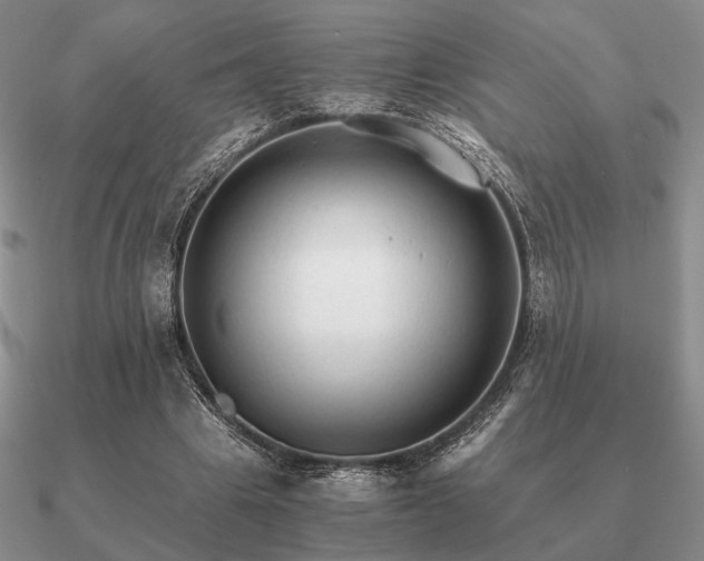 X0000090920441200708061546