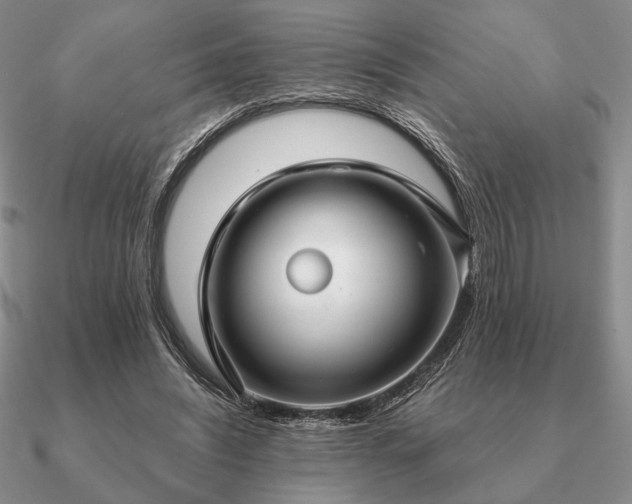 X0000090920444200708061546