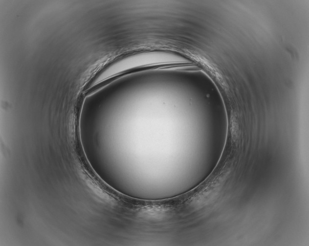 X0000090920445200708061546