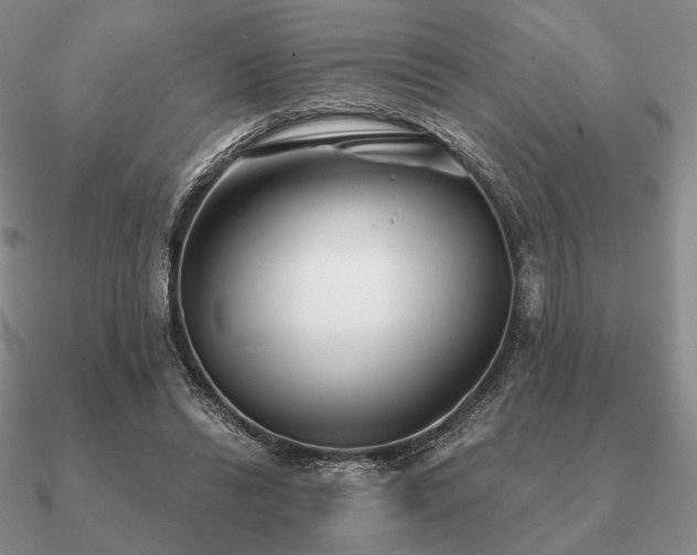 X0000090920446200708061546