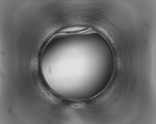 X0000090920447200708061546