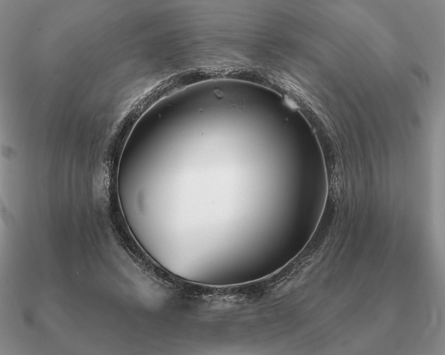 X0000090920448200708061546