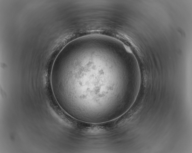 X0000090920451200708061546