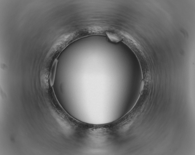 X0000090920452200708061546