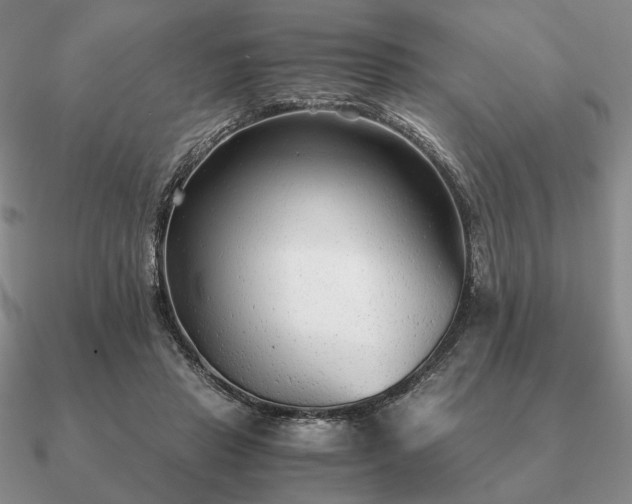 X0000090920453200708061546