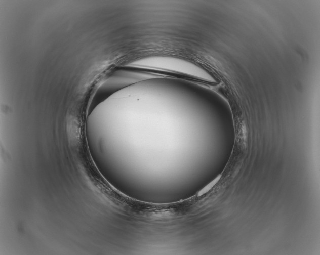 X0000090920456200708061546