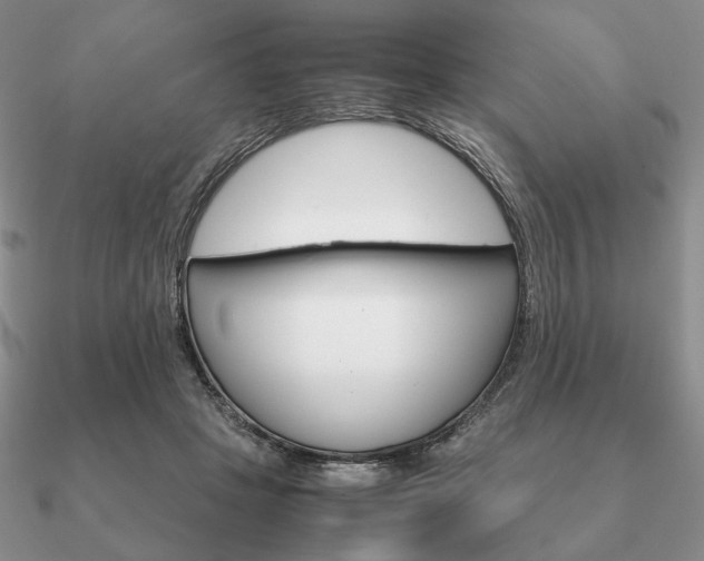 X0000090920457200708061546