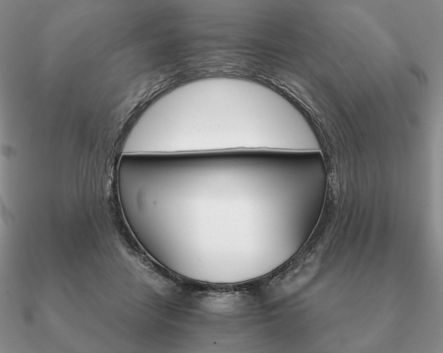 X0000090920458200708061546