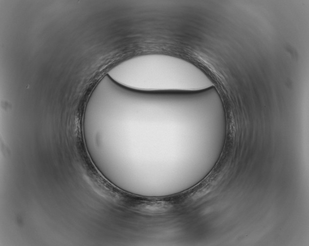 X0000090920459200708061546