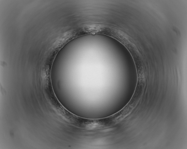 X0000090920460200708061546