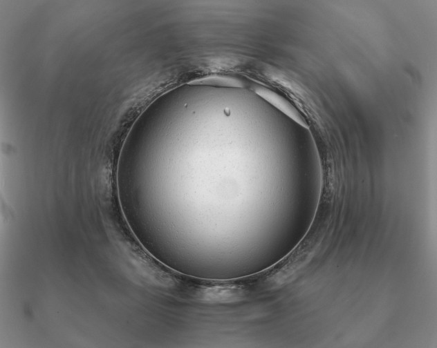 X0000090920461200708061546